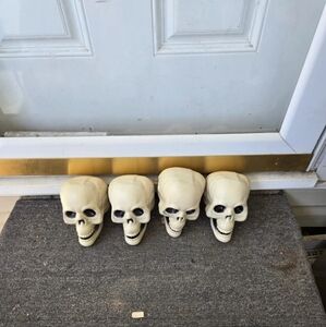 Set of Four Skull Decor Pieces